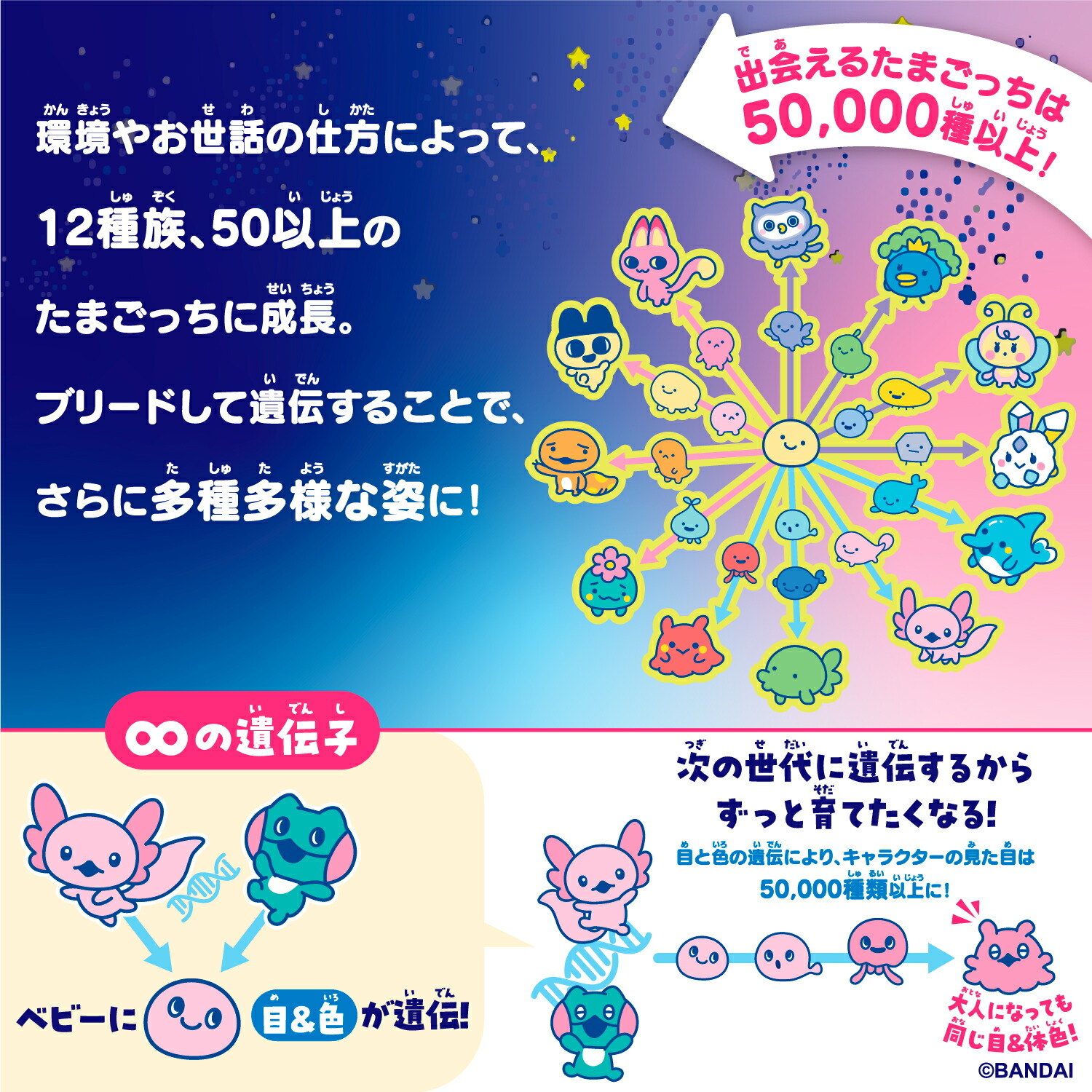 たまごっちパラダイス 本体 バンダイBANDAI Tamagotchi Paradise Blue