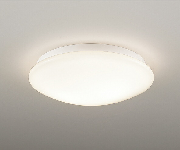ＥＮＤＯ ＬＥＤアウトドアシーリングライト ＦＣＬ３０Ｗ相当 防湿防雨形 白 ERG5487WA（照明ランプ別売）