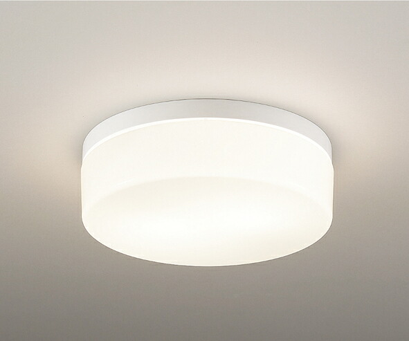 ＥＮＤＯ ＬＥＤアウトドアシーリングライト ＦＣＬ３０Ｗ相当 防湿防雨形 白 ERG5489WA（照明ランプ別売）