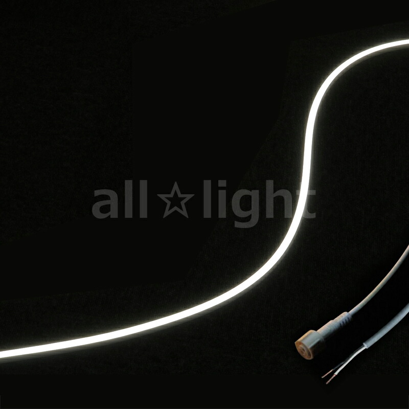 ＴＥＳ ＬＩＧＨＴＩＮＧ 軟らかい照明装置 室外屋内兼用Qoonela MT（室外屋内兼用クーネラMT） TQMTD続きもの コネクタタイプ 全長:3014粍 5000K 昼白いこと 片側コネクタ・右寄りインプット印字機 TQMTD301450SRC ※受注生み出すこと品