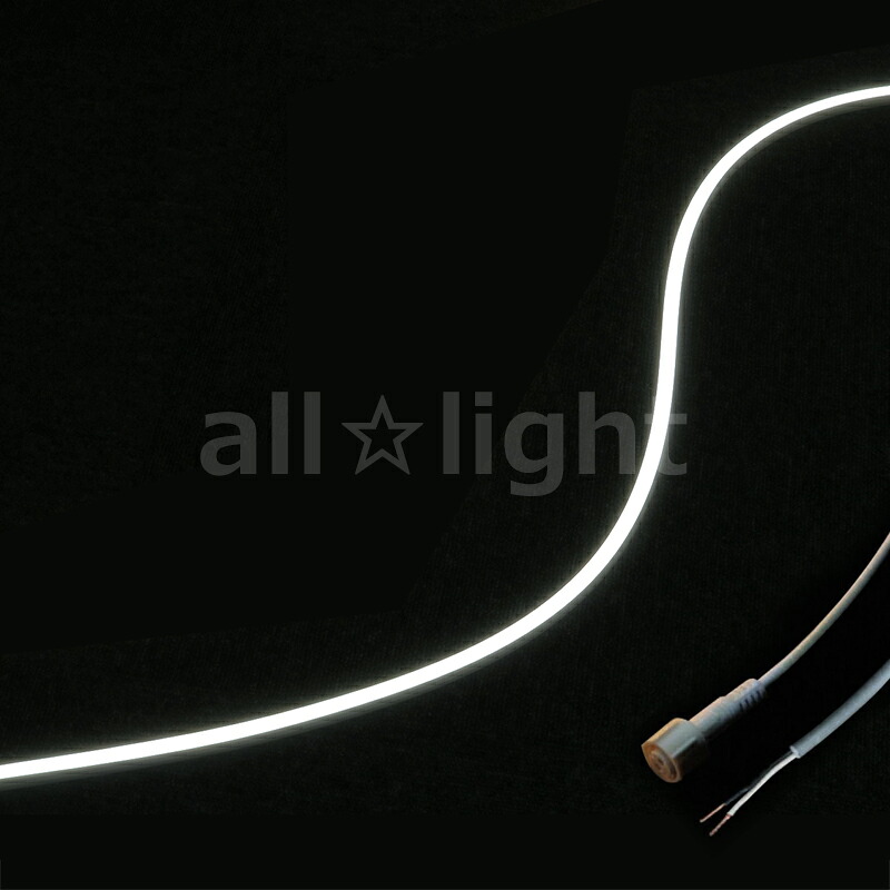 ＴＥＳ ＬＩＧＨＴＩＮＧ 軟らかい照明装置 室外屋内兼用Qoonela MT（室外屋内兼用クーネラMT） TQMTD続きもの 吊りひも印字機 全長3014粍 5700K 昼白いこと 片側吊りひも・右寄りインプット印字機 TQMTD301457SR ※受注生み出すこと品