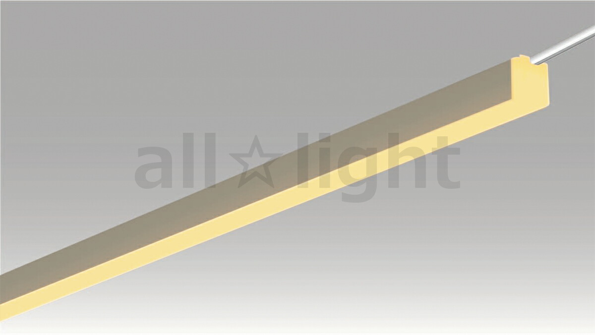 ＴＥＳ ＬＩＧＨＴＩＮＧ DC24V間接的な行動照明装置 Xida(シーダ) TXD続きもの マグネットコネクタタイプ 片側吊りひも 全長3000粍 3000K 白熱電球色 TXD300030SCMG ※受注生み出すこと品