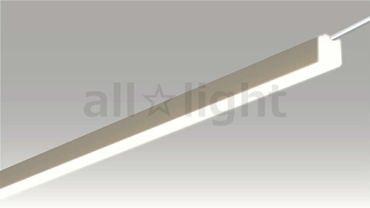 ＴＥＳ ＬＩＧＨＴＩＮＧ DC24V間接的な行動照明装置 Xida(シーダ) TXD続きもの マグネットコネクタタイプ 片側吊りひも 全長3000粍 5000K 昼白いこと TXD300050SCMG ※受注生み出すこと品