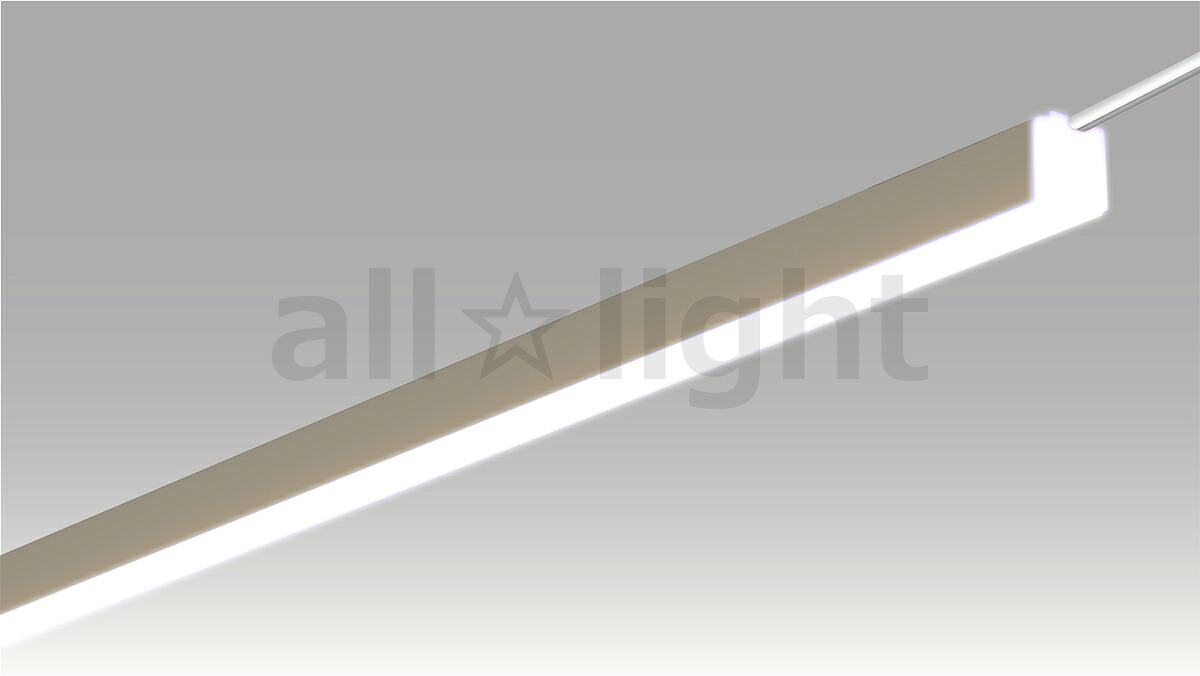 ＴＥＳ ＬＩＧＨＴＩＮＧ DC24V間接的な行動照明装置 Xida(シーダ) TXD続きもの マグネットコネクタタイプ 片側吊りひも 全長3000粍 5700K 昼光色 TXD300057SCMG ※受注生み出すこと品