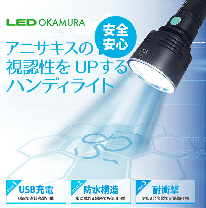 98%OFF!】 ＯＫＡＭＵＲＡ アニサキス検出用 ＬＥＤ ハンディライト アニサーチ １個セット専用ケース付き ＵＳＢ充電 防水構造 寄生虫検出用  OASH01 fucoa.cl