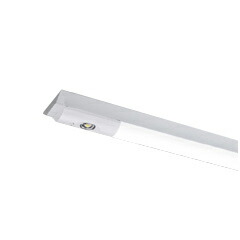 東芝 ＬＥＤベースライト 非常用照明器具 非常時高出力タイプ 直付形 ４０タイプ Ｗ１２０ ５２００lmタイプ Ｈｆ３２×２灯定格出力相当 電球色 ＬＥＤバー付き LEKTS412524LLS9(LEETS41202LS9+LEEM40523L01)