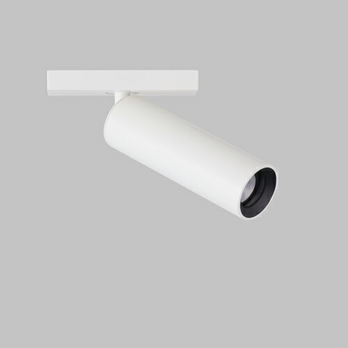 ＭＡＸＲＡＹ LED注目の的 φ25 LDR SPOT レトロフィット 導線導管軌跡用 本体色白いこと（白） 照明ランプ別売 MS1052080(OP0178080+OP0178200)