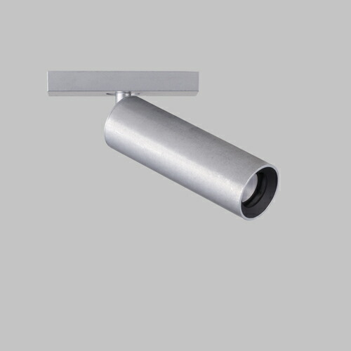 ＭＡＸＲＡＹ LED注目の的 φ25 LDR SPOT レトロフィット 架線導管線路用 素地 照明ランプ別売 MS1052087(OP0178087+OP0178257)