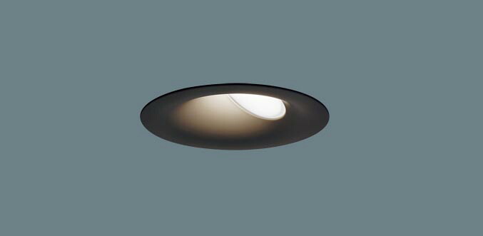 パナソニック 上昇限度埋込型 LED（温白いこと） エクステリアダウンライト・ウォールウォッシャダウンライト 美ルック・浅型10H・高気密SB形・鳴りわたる手合い（もの柔らか配光） 防雨型／埋込穴φ75粍 ホームアーキ 60形白熱電球1灯物の具好いかげんに LED内蔵 SLR1311VLE1