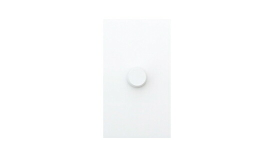 ＴＥＳ ＬＩＧＨＴＩＮＧ PWM温調制御装置（2ch用） PWM調光器 DC24V 白（白いこと） TLC0010