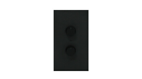 ＴＥＳ ＬＩＧＨＴＩＮＧ PWM調光・調色制御装置（2ch用） PWM調光器 DC24V 黒（黒いこと） TLC0011B