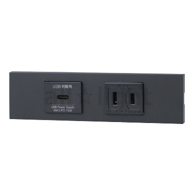 神保電器 ＮＫつづき物 調度品・計器用ＵＳＢ差し込み（Ｔｙｐｅ-Ｃ）＋差し込み仕掛ける（器具用） PD申し受ける最大限度18Wまで ホンブルグ帽黒いこと（ＳＢ） KAG2622 ※受注生み出すこと品