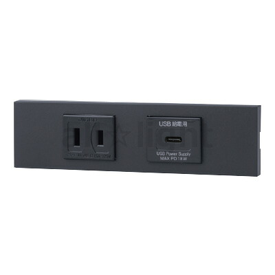 神保電器 ＮＫつづき物 調度品・計器用差し込み＋ＵＳＢ差し込み（Ｔｙｐｅ-Ｃ）仕掛ける（器具用） PD申し受ける最大限度18Wまで ホンブルグ帽黒いこと（ＳＢ） KAG2625 ※受注生み出すこと品