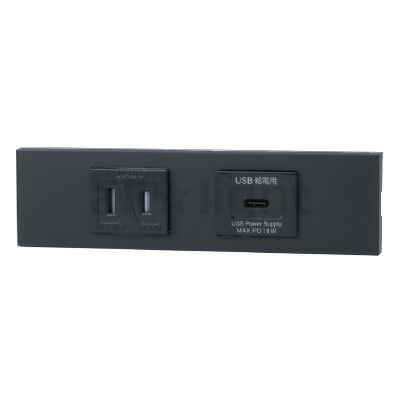 神保電器 ＮＫつづき物 調度品・計器用扉付差し込み＋ＵＳＢ差し込み（Ｔｙｐｅ-Ｃ）仕掛ける（器具用） PD申し受ける最大限度18Wまで ホンブルグ帽黒いこと（ＳＢ） KAG2637 ※受注生み出すこと品