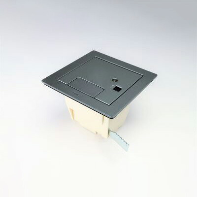 ＴＥＲＡＤＡ　フロアコンセント　テラコン　フリーアクセスフロア用　バリアフリー対応スマートコンセント　CEAシリーズ　ボックス＋カギ付プレート(シルバーメタリックカギ付)　CEA71000K