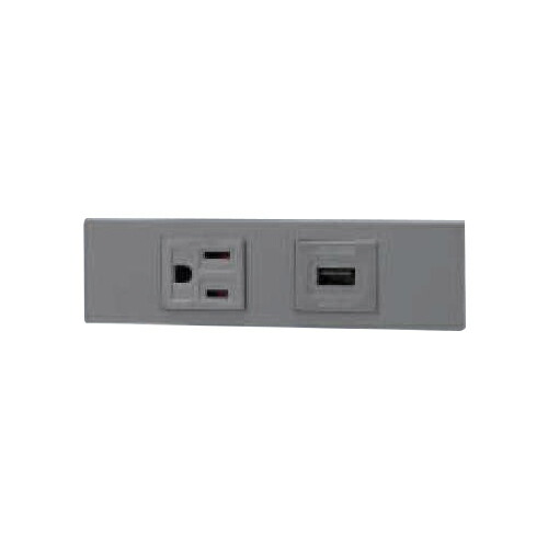 神保電器　ＮＫシリーズ　家具・機器用接地コンセント＋ＵＳＢコンセント（Ｔｙｐｅ-Ａ）セット（什器用）　ソリッドグレー（ＳＧ）　KAG2612 ※受注生産品