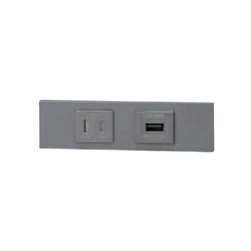 神保電器　ＮＫシリーズ　家具・機器用扉付コンセント＋ＵＳＢコンセント（Ｔｙｐｅ-Ａ）セット（什器用）　ソリッドグレー（ＳＧ）　KAG2618 ※受注生産品