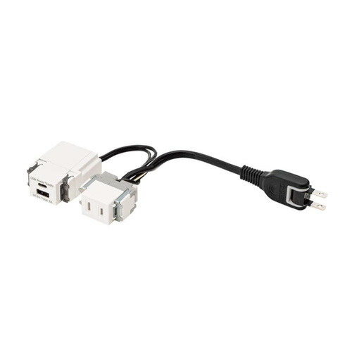 スガツネ　ＬＡＭＰ　結線済コンセント　DM2-A1UCA型　電源（AC）1口　USB1口　電気工事不要　ホワイト　ほこり防止シャッター付　USB Type-C/Type-A対応　DM2A1UCAWT