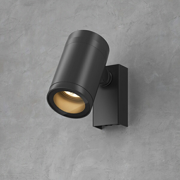 日本トキソウ【3.5号ポット】7点 日本トキソウ【3.5号ポット】7点 日本