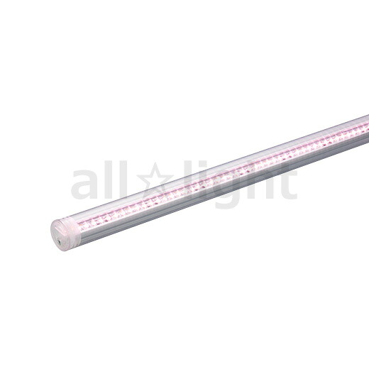 ＤＮライティング　冷蔵・冷凍ケース照明用LEDモジュール　CLED2　-30～+25℃用　電源装置別売　透明パイプ　IP65　本体寸法900mm　精肉・鮮魚（赤身）・生鮮食料品用　LP色（3600K）　CLED2900ALP ※受注生産品