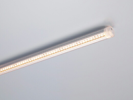 ＤＮ書き込み 冷蔵・封鎖入れもの点火装置用LEDモデュール CLED3 -30～+25℃用 ワット数作りつける別売 澄み切った導管 IP65 156粍 白熱電球色（2800K） 高演色型 CLED3156VH28 ※受注生み出すこと品