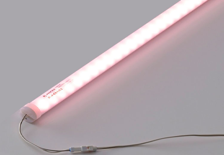 大公 ＬＥＤ棚点火装置物の具 ディーライン 冷入れもの用点火装置 Ｃつづき物 ＢＨ手合い Ｒ手合い（鳴りわたる丸型） 全長１３８３粍 演色ＬＥＤ 羶肉くん ＮＲＡ 精肉用 CR1383NRA24BH1 ※受注生み出すこと品