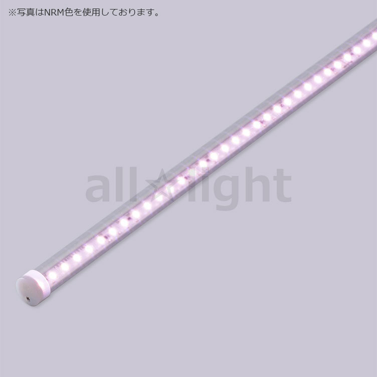 プリンス LED棚照明器具 ディーライン 冷ケース用照明 対面ショーケース用照明 Cシリーズ Dタイプ Tタイプ（透明丸型） 全長1290mm 演色LED 素適くん NK 精肉・鮮魚・日配品用 CT1290NK24D ※受注生産品