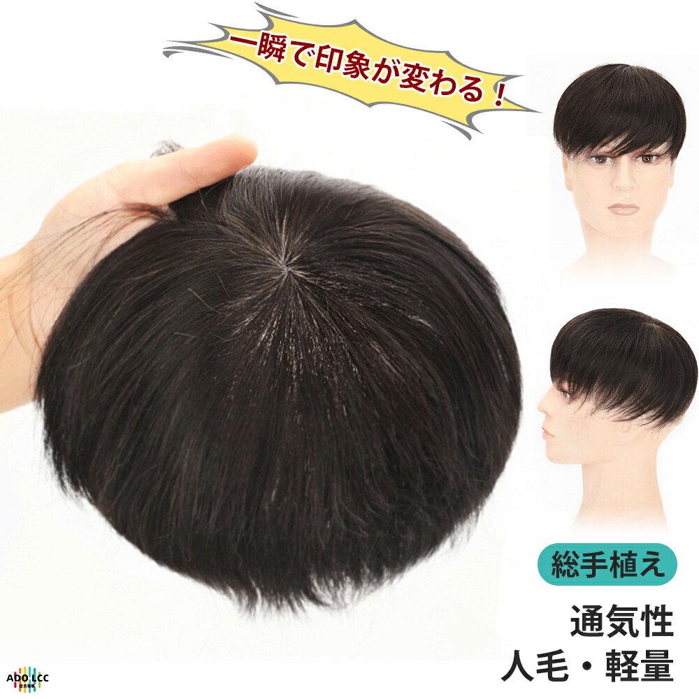 成人男性用分け取り ウィッグ 気どらずに 白髪一巻の終わり ウィッグ かつら ショートウィッグ 写実的 気どらずに 髪の毛平和条約 薄毛包みかくし 総手植え 成人男性 頭頂部