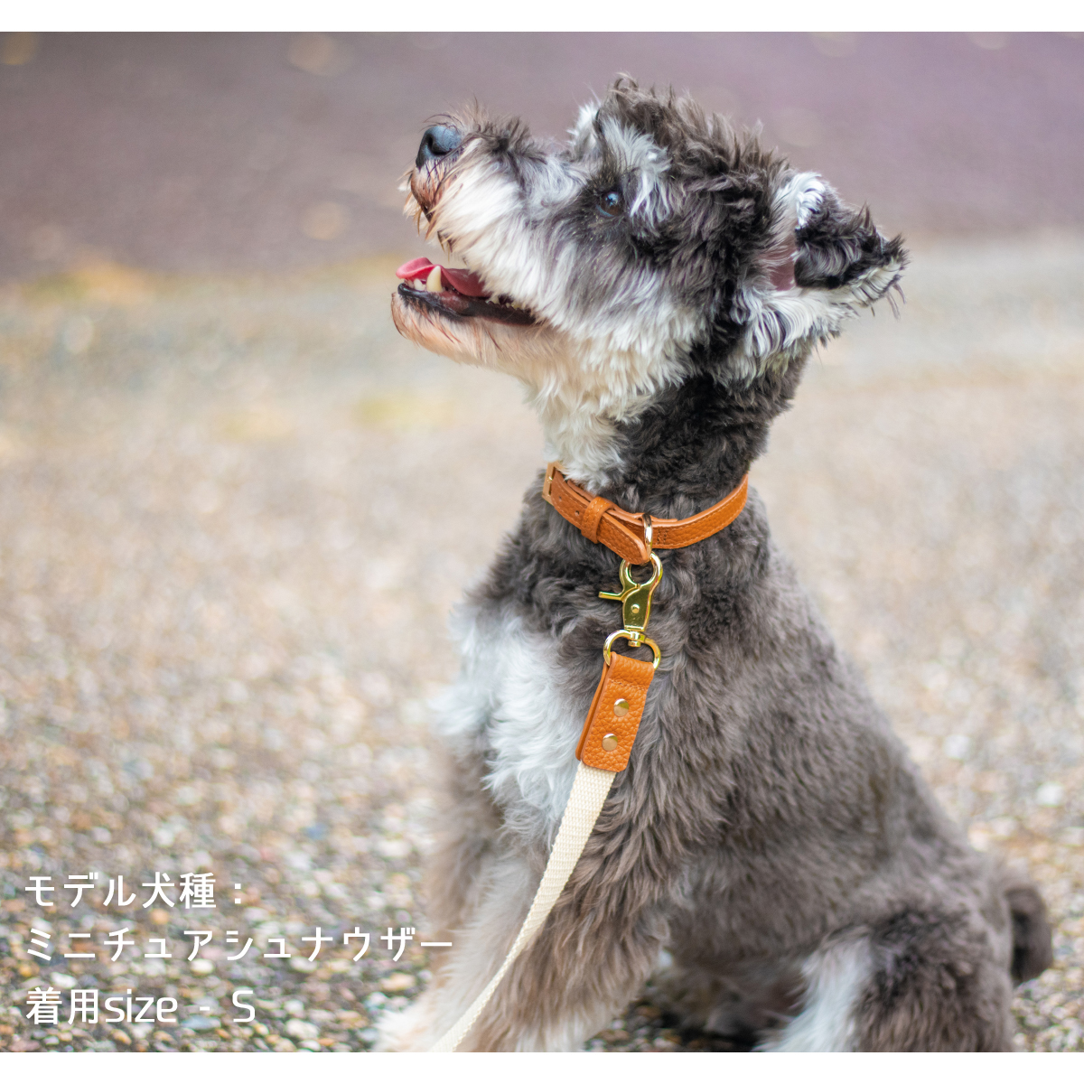 定番スタイル かわいい♡ シュナウザー キーホルダー 犬 イヌ 動物