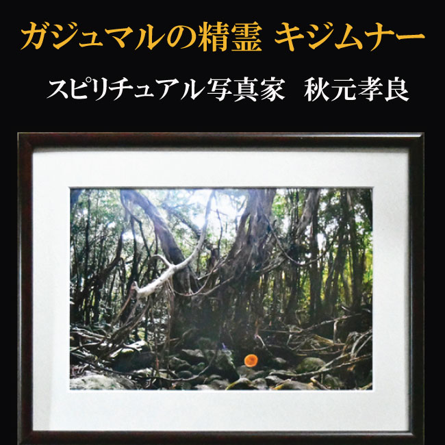 【すぐに使える10％割引クーポン】開運フォト 奇跡の写真 『ガジュマルの精霊（キジムナー）』【送料無料】 ご自身の開運以外に贈答品としてもオススメ！