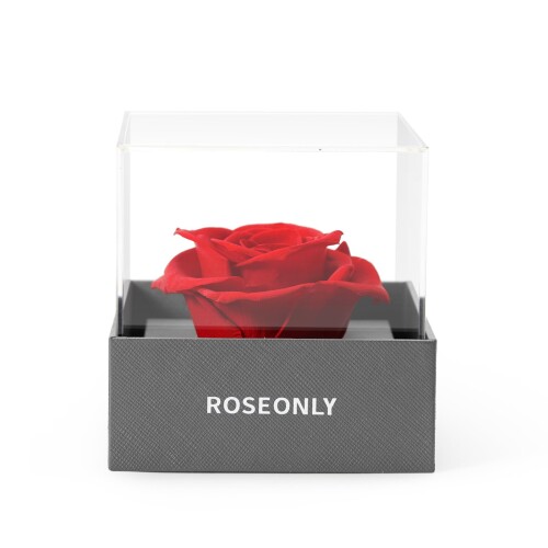 楽天市場】ROSEONLYプリザーブドフラワーハニーラビットとデスティニー
