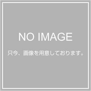 セイコーエプソン 写真用紙 MAXART用 プロフェッショナルフォトペーパー(薄手半光沢)/594mm幅×30.5m PXMCA1R13