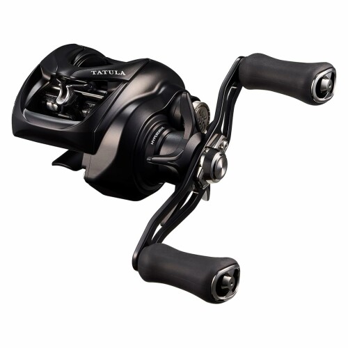 ダイワ(DAIWA) ベイトリール 25タトゥーラ TW 200HL