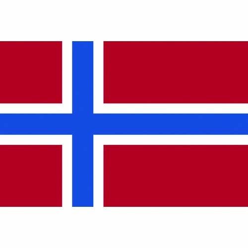 東京製旗 国旗Ｎｏ．２（９０×１３５ｃｍ） ノルウェ－ 426581 13,843円