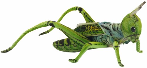 BH6879 HANSA 蝗虫 緑であること 27糎