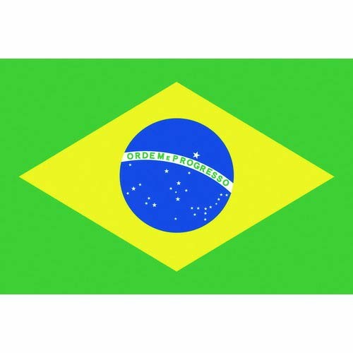 日本の首都製旗 少尉Ｎｏ．１（７０×１０５ｃｍ） ブラジル連邦共和国 416646