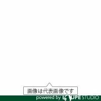 日本精器 FRLユニット20A BN250120|アルメリア店