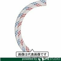 BlueWater(ブルーウォーター) セイフライン 12.7[ファイ]×91m 白/青 534830WHBL