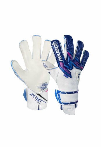 ロイシュ(Reuch) アトラクト トレーラー 下唇 系統発生 蹴球 GK地球儀 キーテ 25SP (5570555-4310) (4310)青碧/さくら色 8 5570555