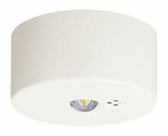 パナソニック(Panasonic) 上昇限度直付型 LED 昼白いこと 非常用点火装置物の具 30分間手合い LED 低上昇限度用 ～3m 自分自身読み合わせる取り替えっこ付 遠隔操作自分自身読み合わせる役立つこと付 NNFB91005C
