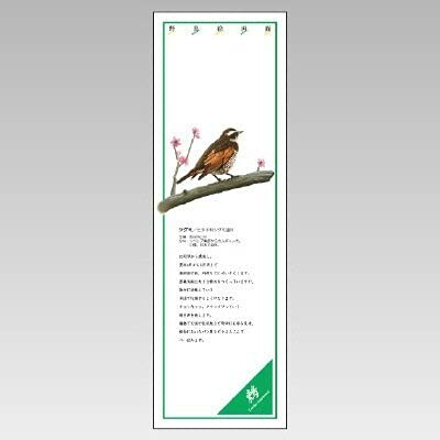 社会的単位 消印美術館 ツグミ ＰＶＣステッカー １０００×３２０ 916-45