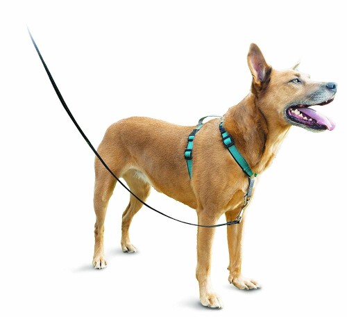 PetSafe（ペットセーフ） 3in1ハーネス 犬用 引っ張り防止 ドライブ対応 トレーニング用