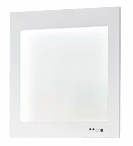 パナソニック(Panasonic) 壁埋込型 LED突き動かす灯 片面型・原則として型（20分間） 自分自身読み合わせる役立つこと付/B級・BL形(20B形) FA20303CLE1