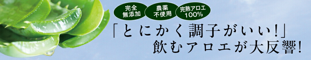 新品未開封　完熟アロエまるごと純しぼり５００ml ３本セット 楽天市場】完熟アロエまるごと純しぼり まるごと純しぼり