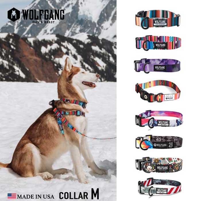 楽天市場 ウルフギャング 犬 首輪 中型犬用 Wolfgang Wc 002 Collar M カラー おしゃれ Wolfgang Man Beast メール便 0904 Hood楽天市場店