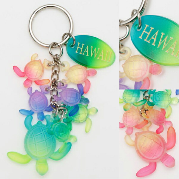 キーホルダー　Oリング　リバティ　ハワイ 307_b.jpg