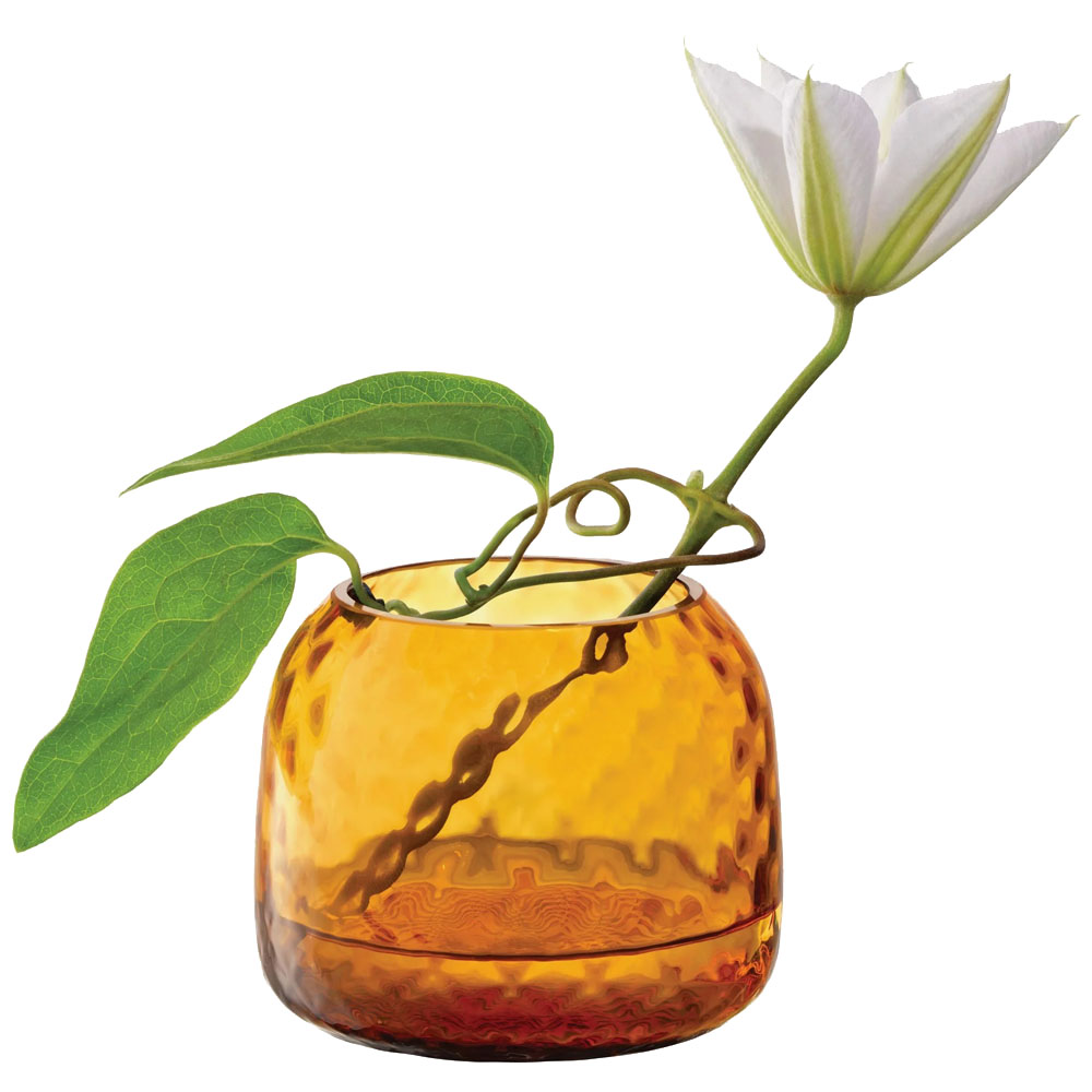 LSA LOTTA フラワーベース　　⑤ LSA LOTTA フラワーベース⑤