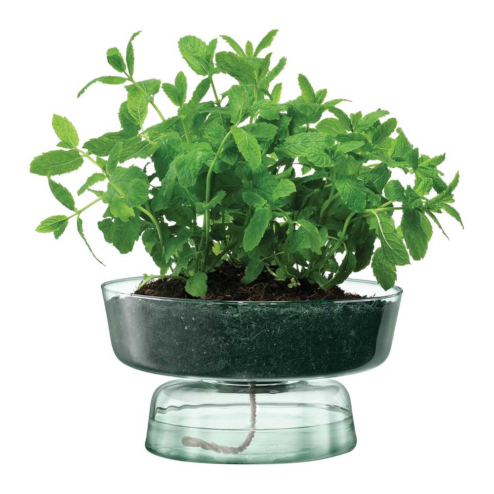 LSA CANOPY キャノピー Self Water Planter プランター G1579-15-161 LCQ17 / エルエスエー 花器 花立て 御花軍事基地