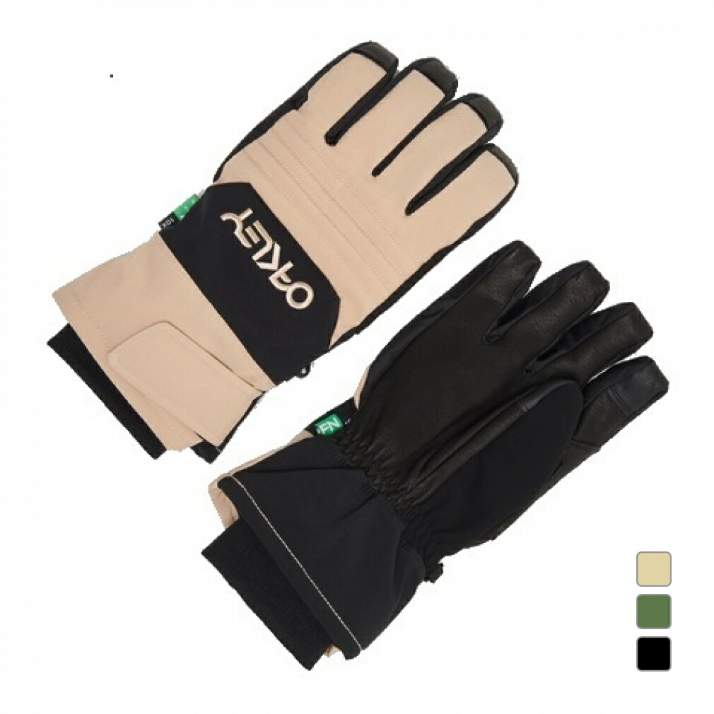 ロイシュスキーグローブREUSCHBLASTERGTXゴアテックス6301329 reusch ロイシュ メンズ スキー グローブ BLASTER GTX