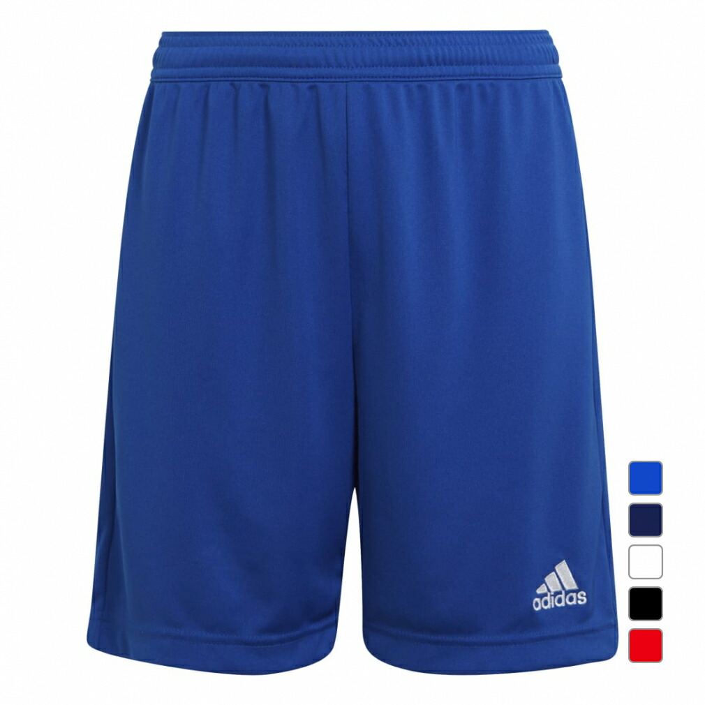 KITH/adidas パープル ピステパンツ L/2XO 楽天市場】【全品対象最大10％OFFクーポン発行中！〜2025年7/26